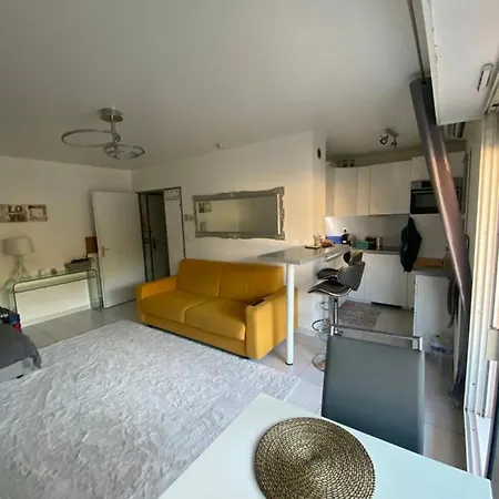 Studio Dans Residence Avec Piscine Apartment